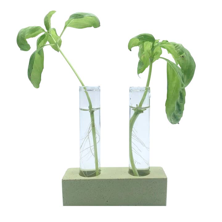 Mini Propagation Station for wholesale by Awkward Auntie