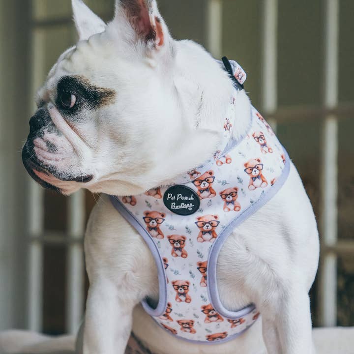 Pet Pooch Boutique - Wholesale Pet harness – Dog - Rusty Bear Puppy Dog Harness 8