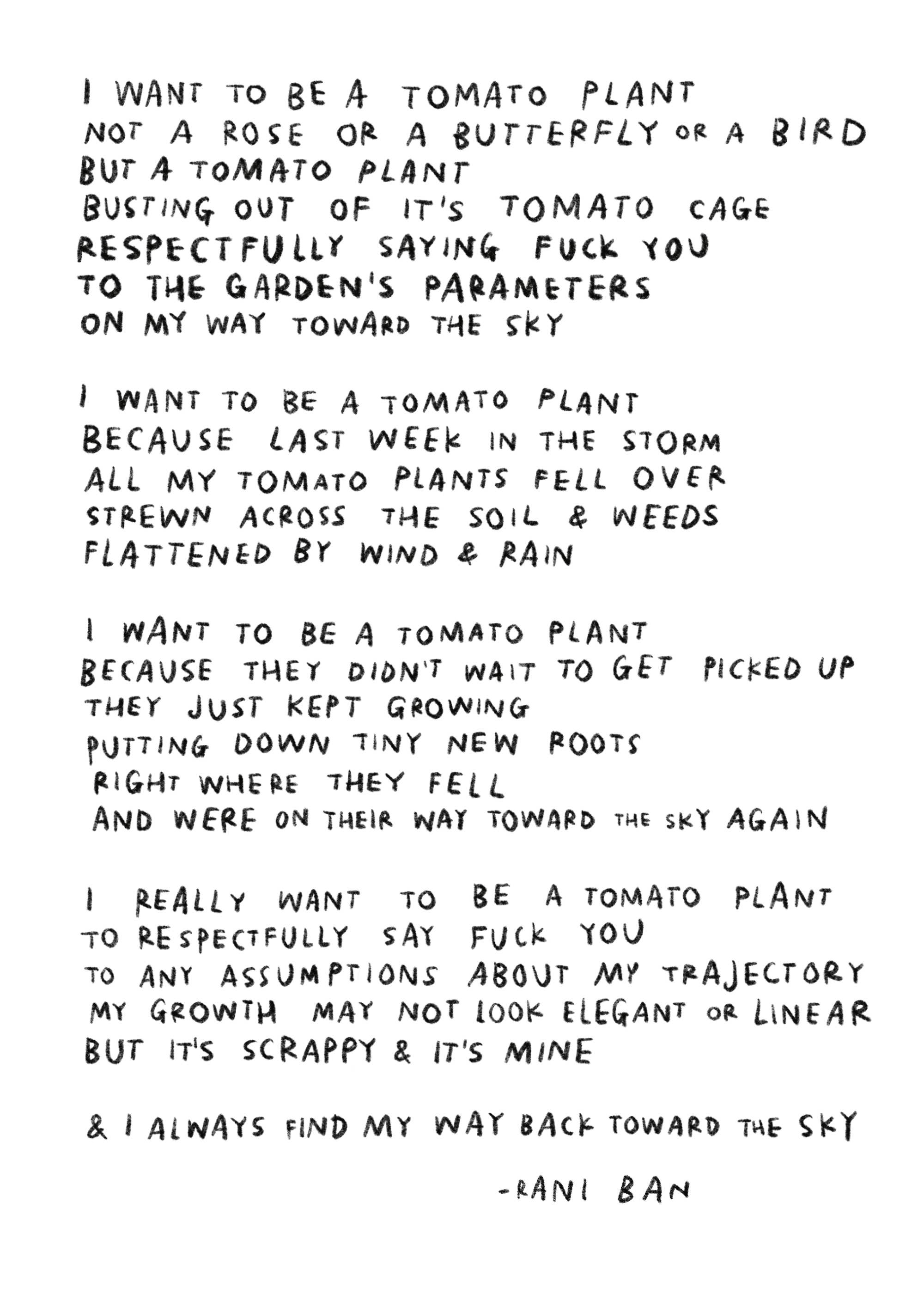 RANI BAN CO - Wholesale Art Print - I WANT TO BE A TOMATO PLANT Art Print & Poem2
