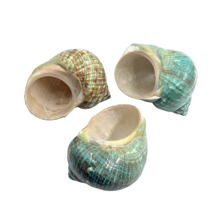 Earths Elements Wholesale - Wholesale Spiritual Stone/Crystal - Jade Turban Natural2