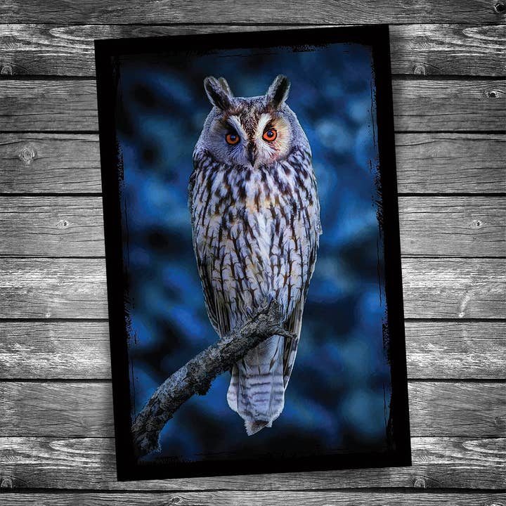 Forest Sentinel Owl Postcard for wholesale by Christopher Arndt Postcard Co.