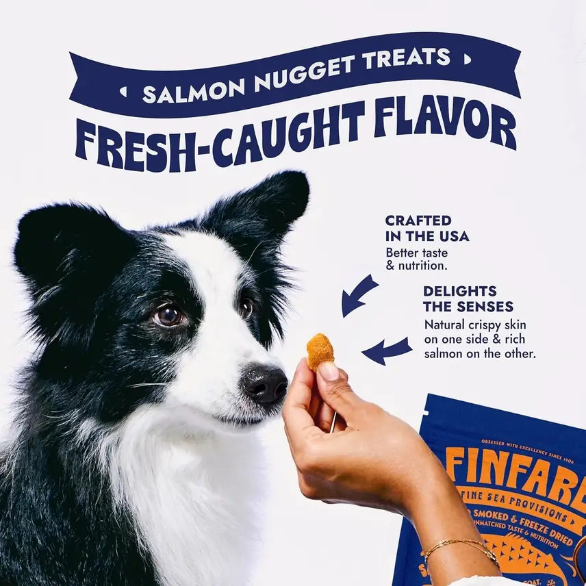 Finfare Pet Foods - Wholesale Pet Treats - Dog - Freeze-Dried Salmon Nuggets for Dogs, 9oz4