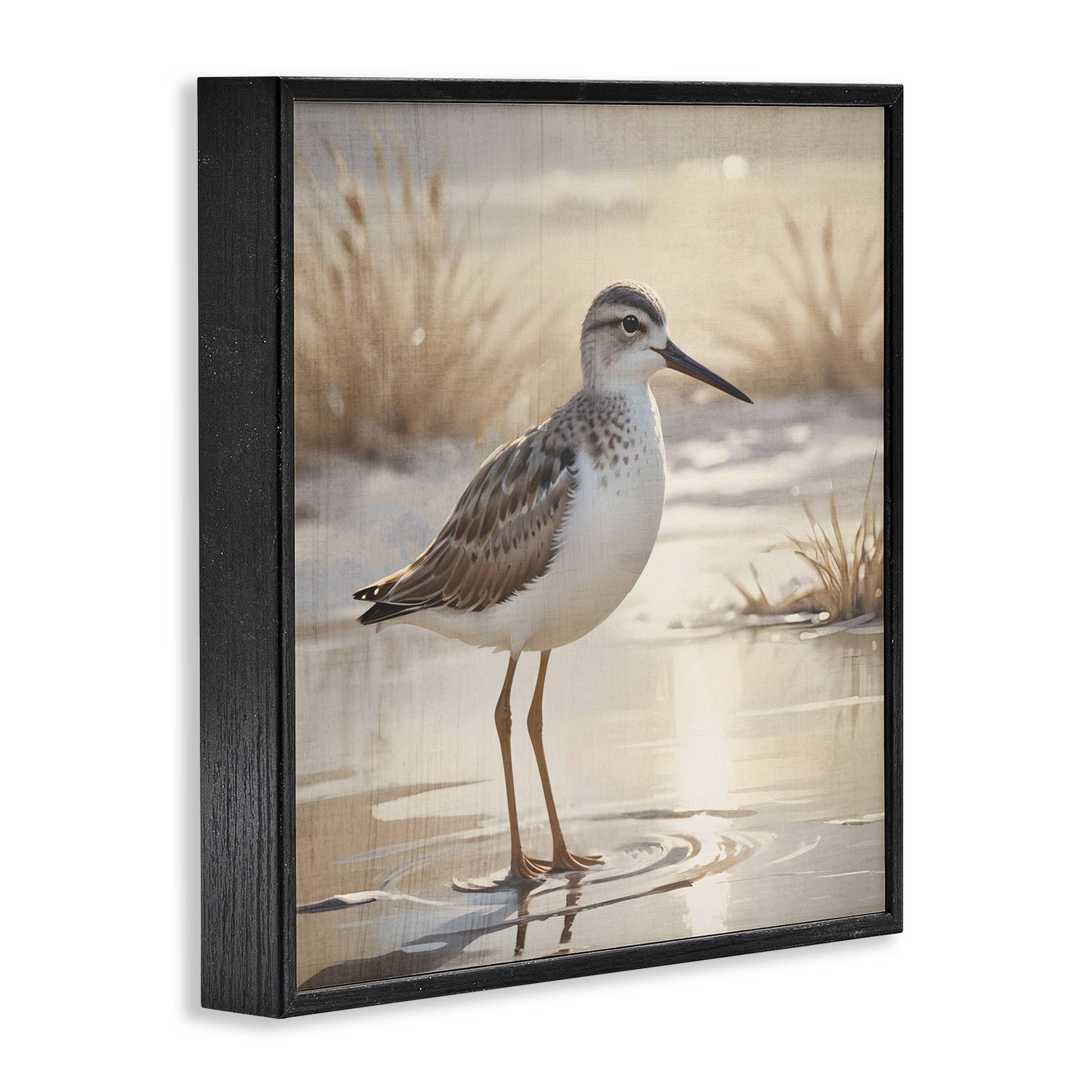 Stupell Industries – wholesale Wall sign – Sunlit Sandpiper in Shallow Water - Framed Wall Art13