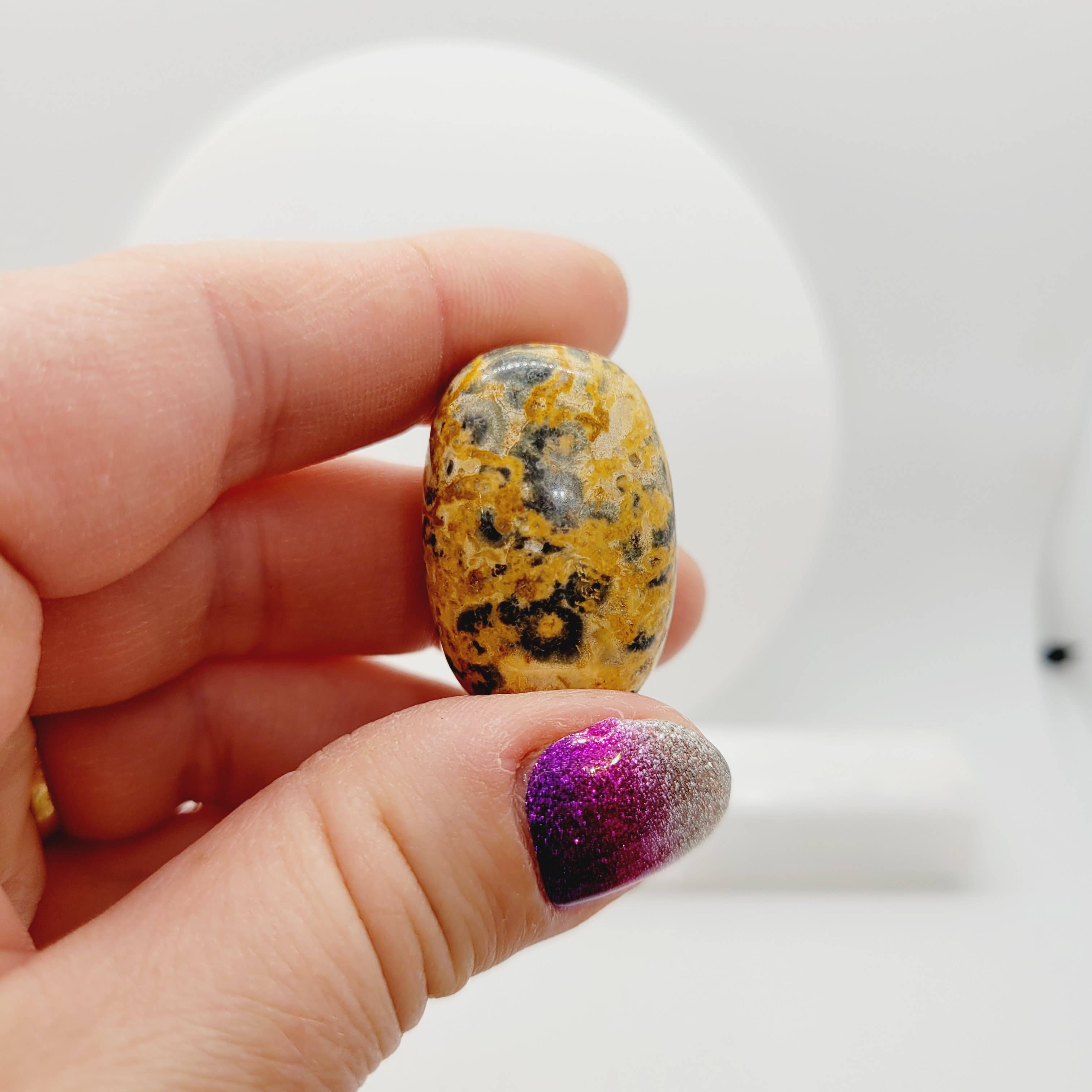 The Raven's Edge – Engroshandel Spirituelle sten og krystaller – Leopard hud Jasper Tumbles Crystal Tumbles Metafysisk5