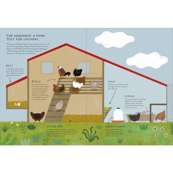 Chronicle Books - Wholesale Early Reader Book (6-8) - Chickenology7