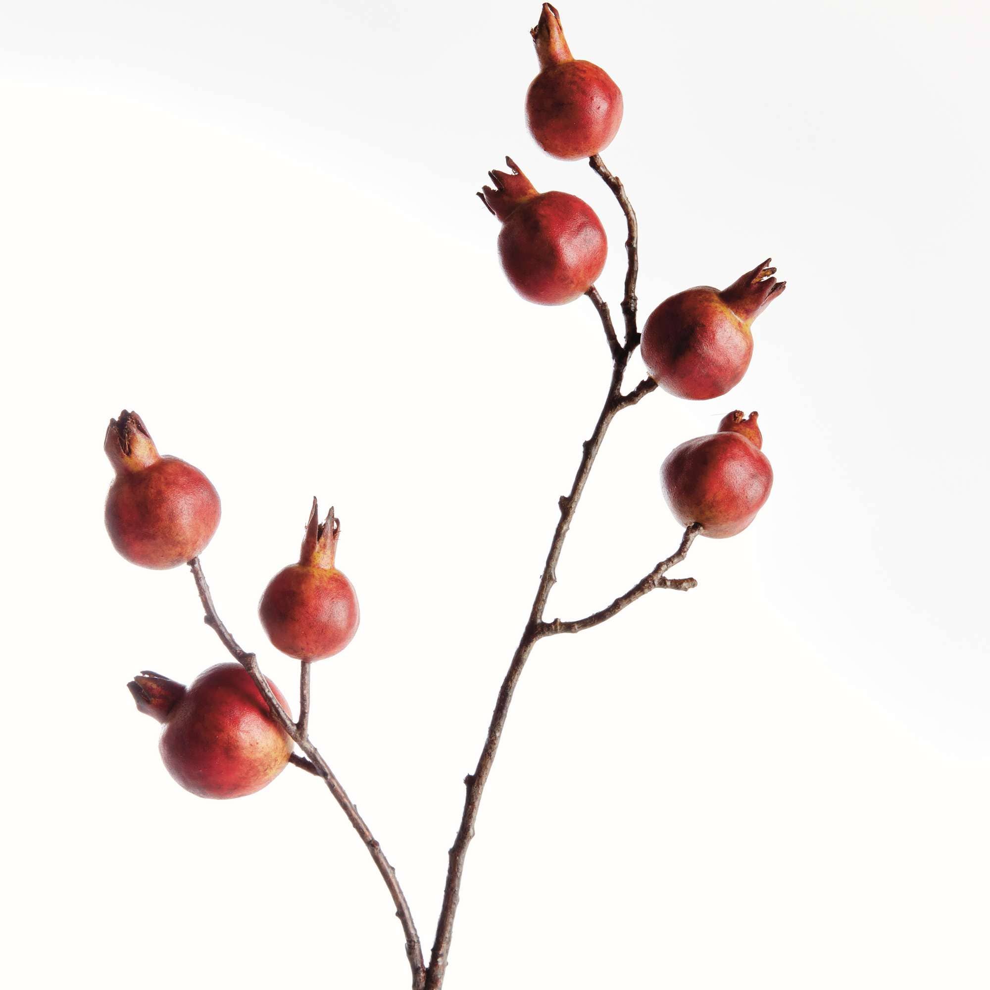 Napa Home & Garden - Wholesale Artificial Plant - Pomegranate Branch 21.5" - Red/Orange1