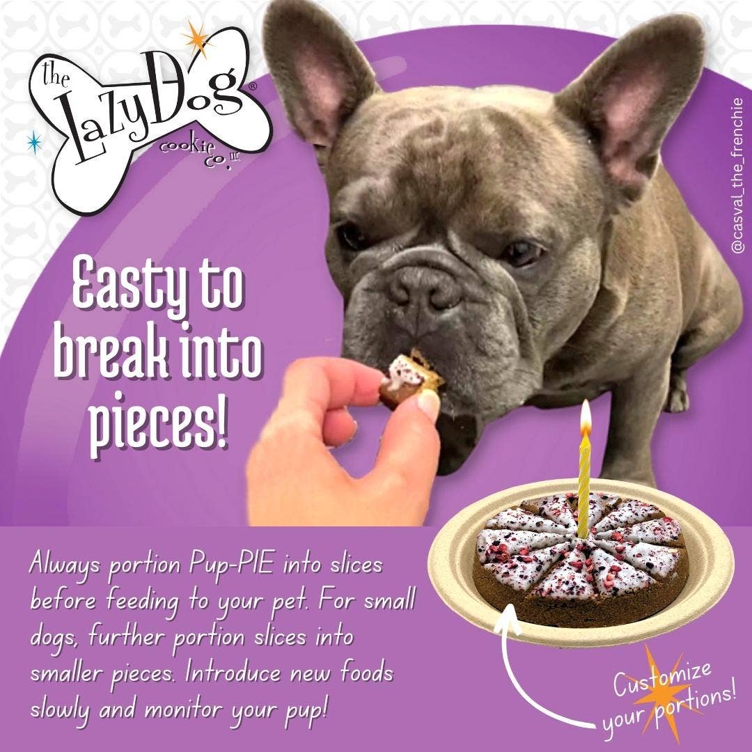 The Lazy Dog Cookie Co., Inc. - Wholesale Pet Treats - Dog - The Original Pup-PIE® Happy Birthday for a Special Dog2