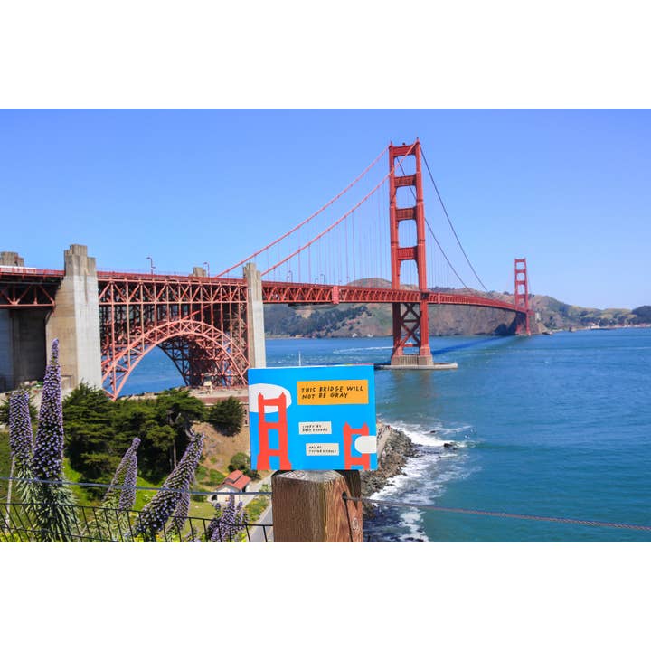 Chronicle Books - Wholesale Preschool Book (3-5) - This Bridge Will Not Be Gray14