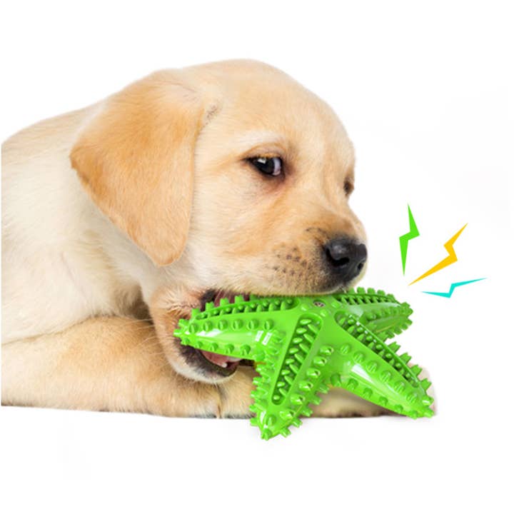 PR GROUPS LLC - Wholesale Pet Chew Toy - Dog - Star Fish Dog Teeth Cleaning Chew Toy