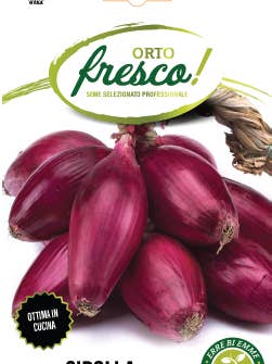 Cebola Roxa Longa de Tropea por atacado de Sementi & Barbatelle