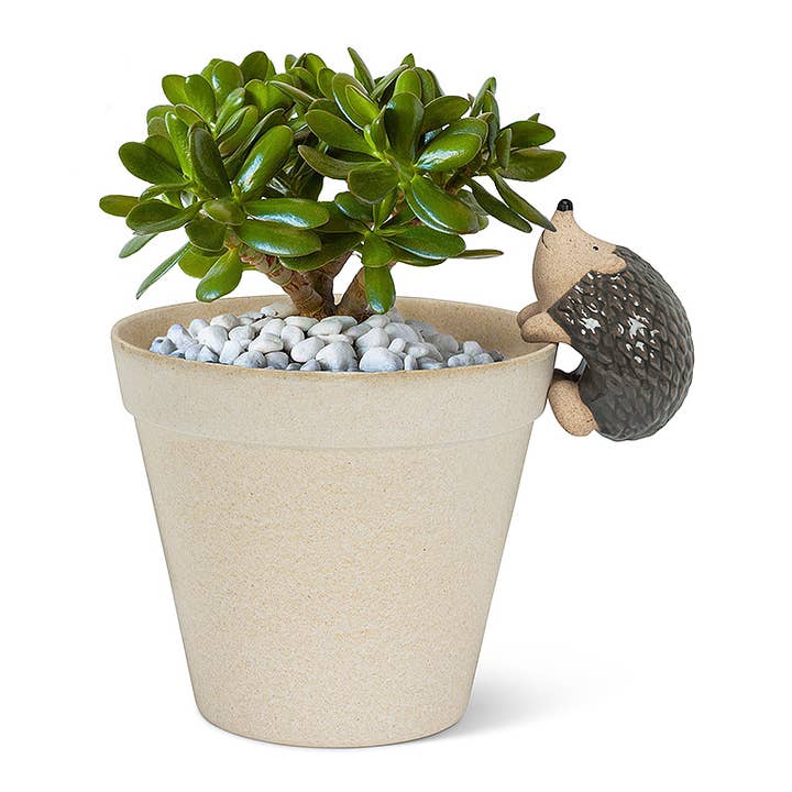 Abbott - Wholesale Hanging Planter - Climbing Hedgehog Pot Hanger-3.5"L-849