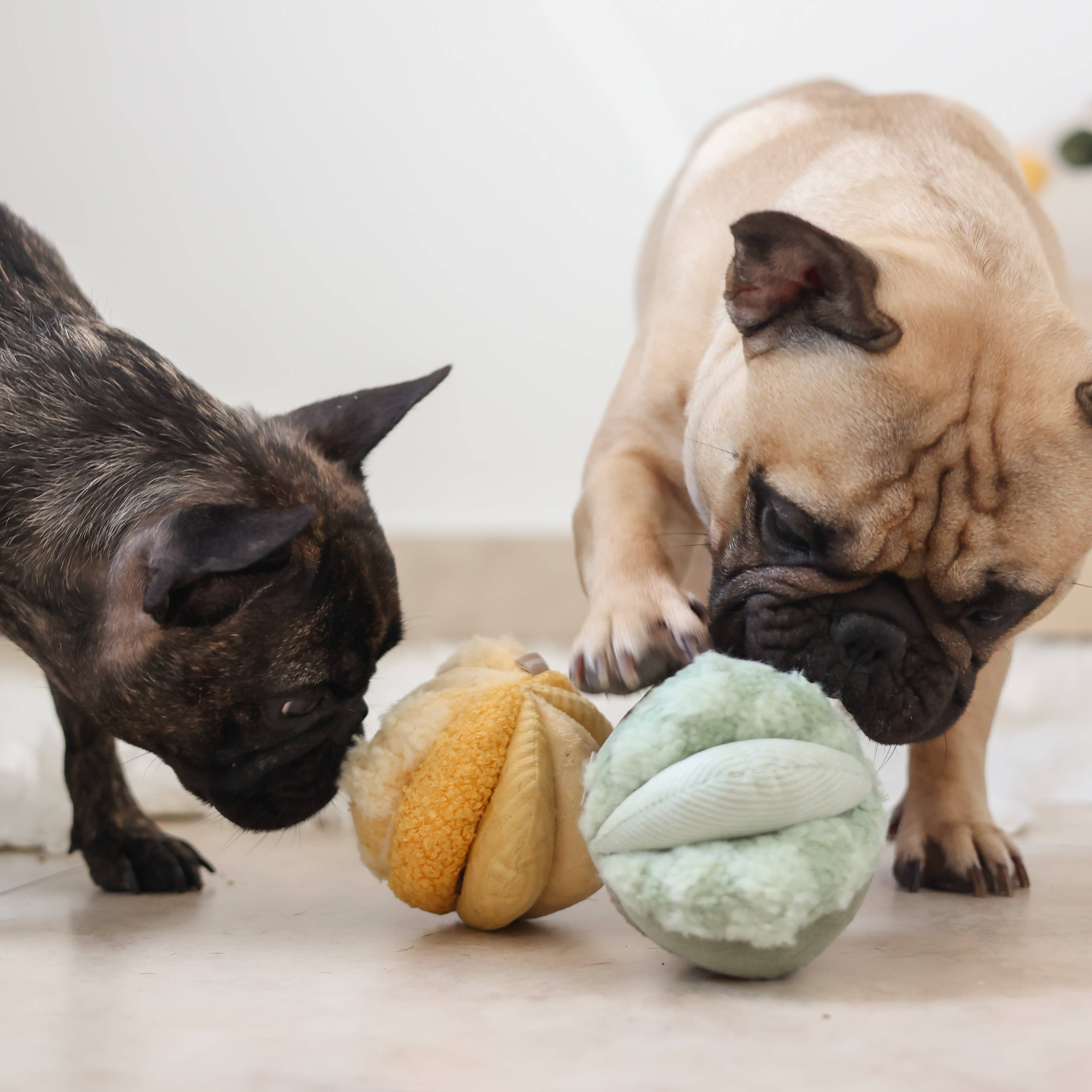 Lambwolf EU - Wholesale Pet Chew Toy - Dog - TOTO //Enrichment Toy ( small) 2