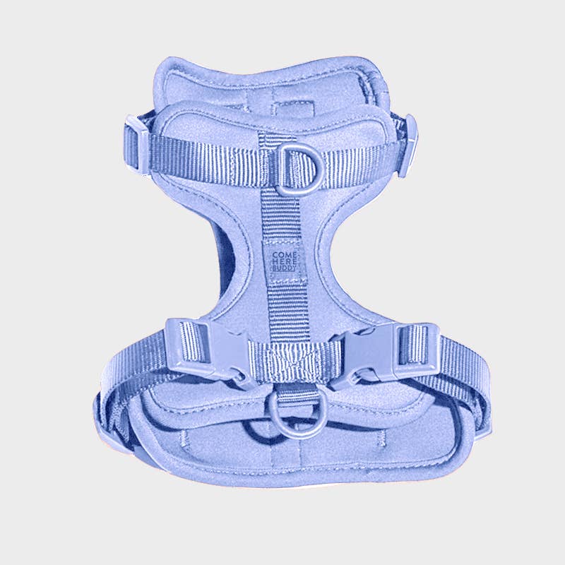 Come Here Buddy – Großhandel Haustiergeschirr – Hund – Leichter, verstellbarer gepolsterter Hundegeschirr11