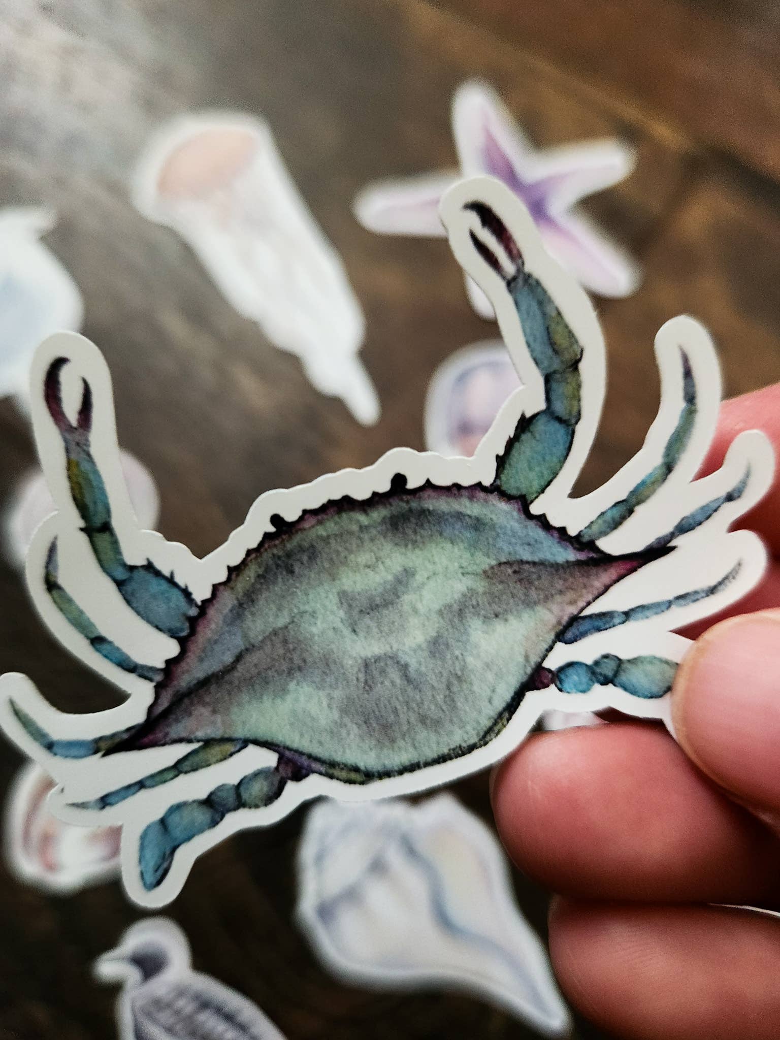 Stephanie Hathaway Designs - Vendita all'ingrosso Adesivo - Pacchetto di Adesivi da Spiaggia, Set di 12 Adesivi in Vinile Opaco4