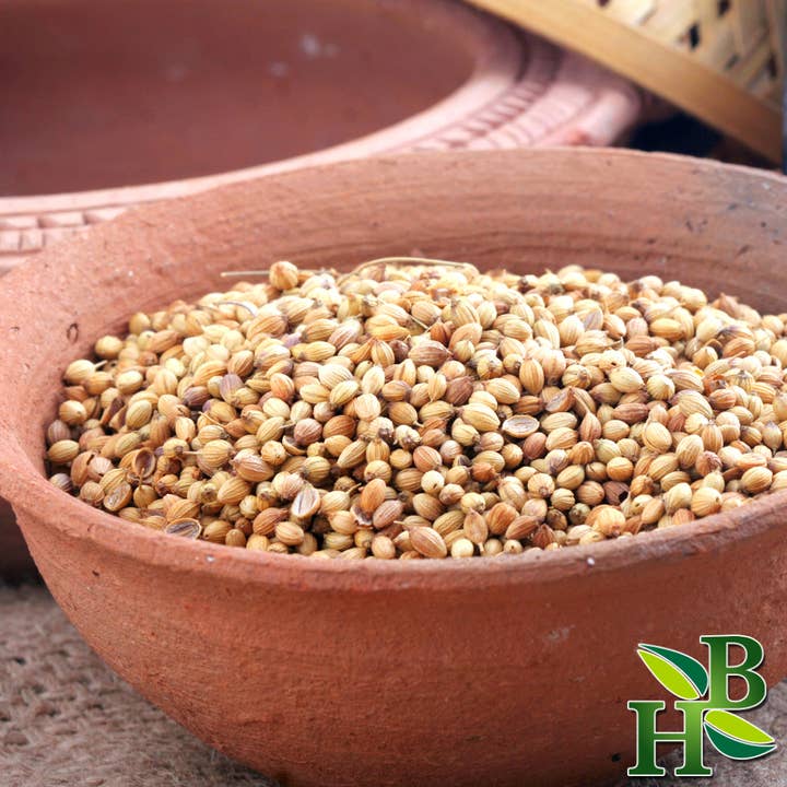Herb To Body - Wholesale Herbs - Coriander Seed Whole