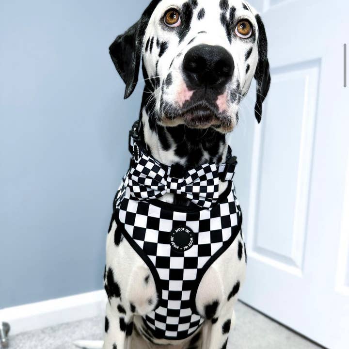 WOOF INC – Großhandel Haustiergeschirr – Hund – Verstellbares Hundegeschirr in Schwarz und Weiß mit Schachbrettmuster1