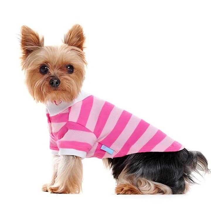 Dogo Pet - Wholesale Pet Shirt - Dog - PP Stripe Polo Shirt6