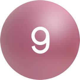 Cat Designer Verrier - Wholesale Decorative Figurine - Weiner Dog14