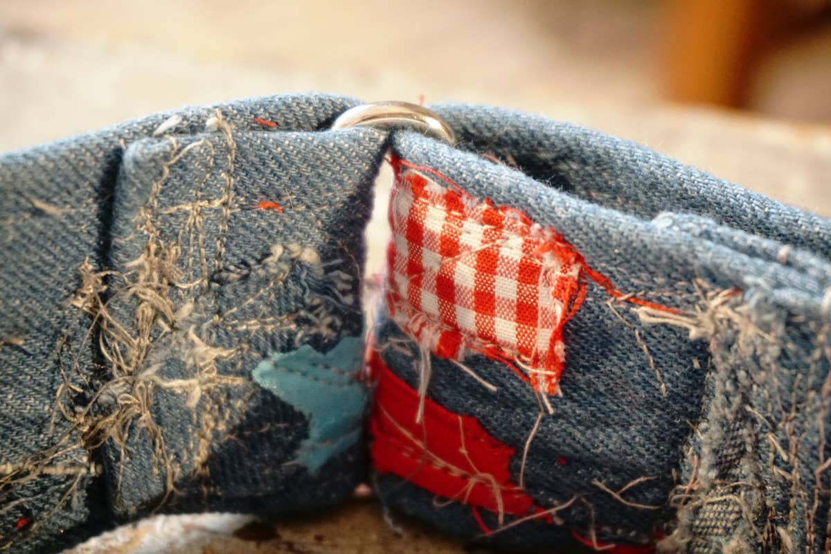hundsfutter - Wholesale Pet Collar - Dog - “Easy” anti-escape dog collar - mixed media jeans14