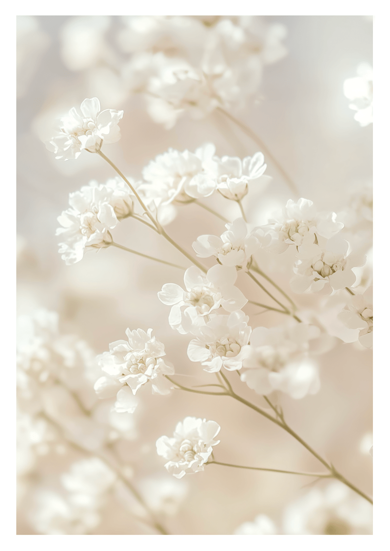 MokaMouse - Wholesale Art Print - Boho flower series 22