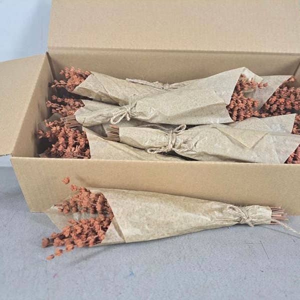 Dutch Flower Studio - Wholesale Dried/Pressed Flowers - Preserved lavender - Mini bouquet 25 cm - Dried flowers