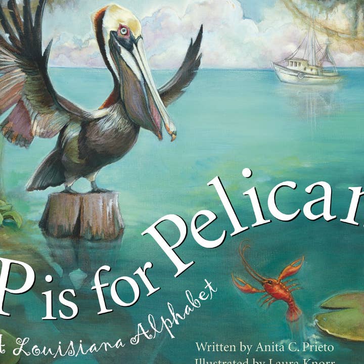 P is for Pelican: A LOUISIANA Alphabet Picture Book for wholesale by Sleeping Bear Press