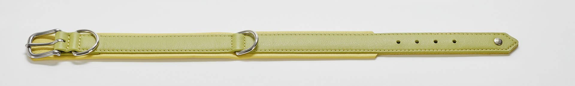 LABONI - Volentis GmbH - Wholesale Pet Collar - Dog - AMICI dog collar3