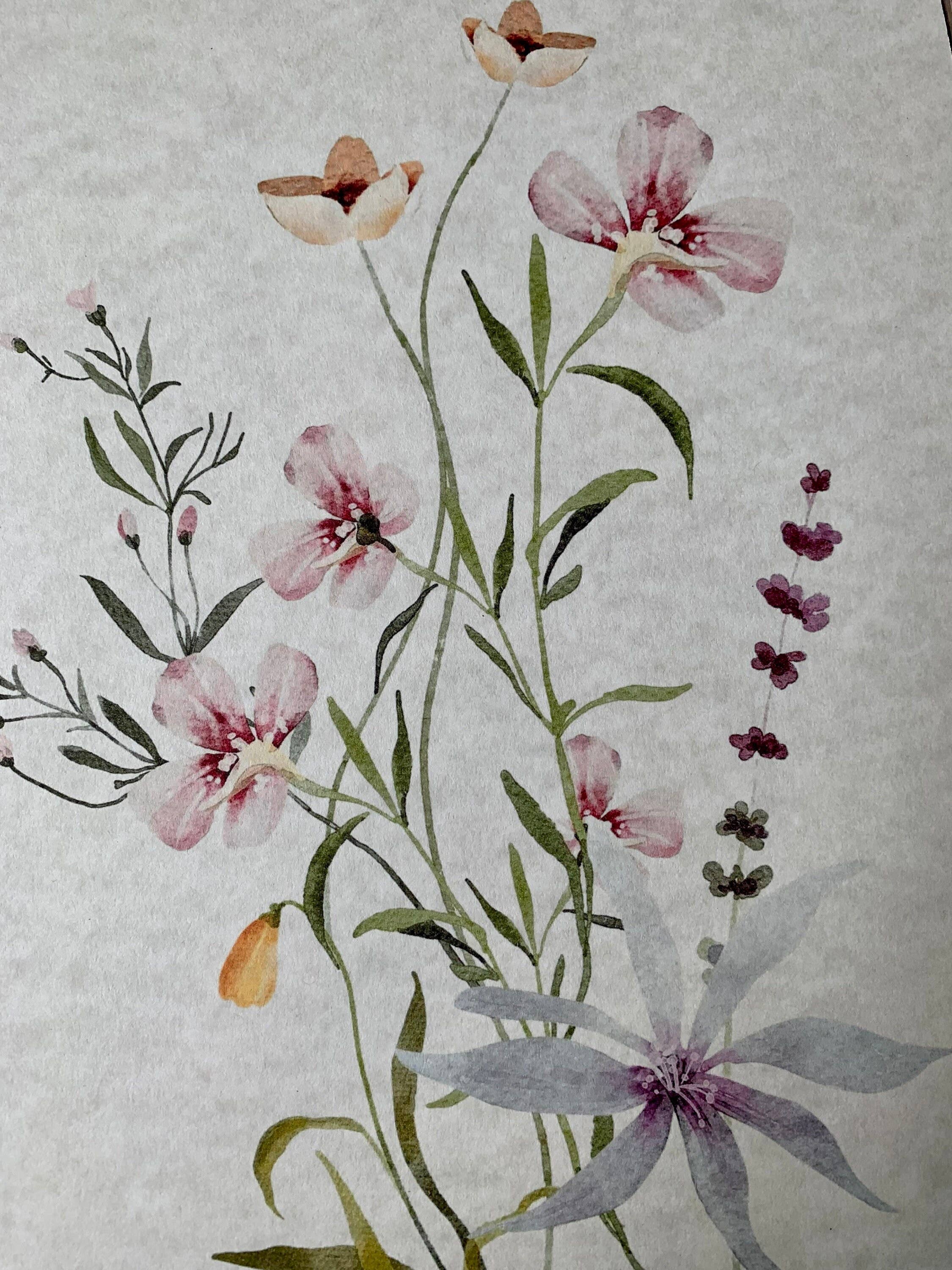 Magnifique Hearts - Wholesale Art Print - Set Of 3 Floral Art Prints, Delicate Botanical, Flowers, Pri4