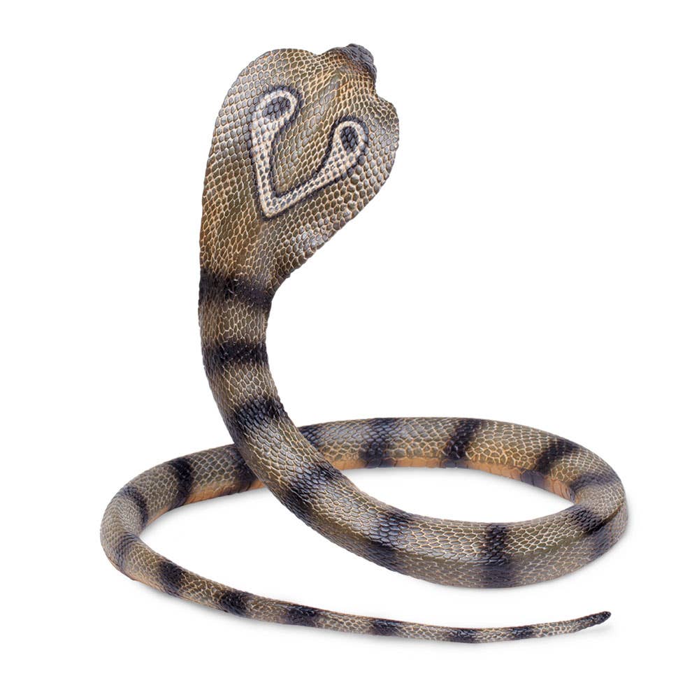 Safari Ltd. - Wholesale Figurine Toy - Kids - Cobra - 2603293