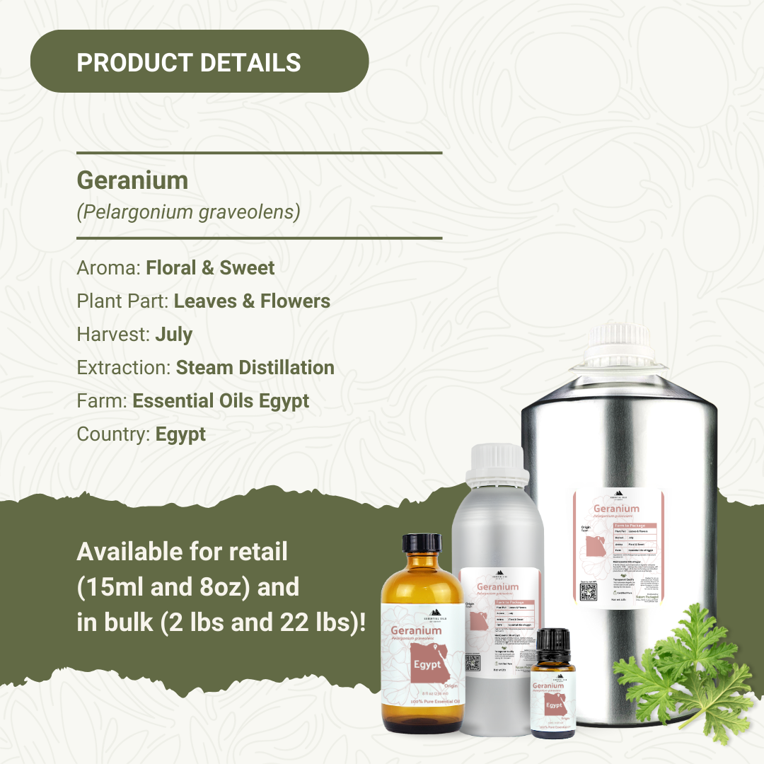 Nature Packaged - Wholesale Essential Oil - Geranium Essential Oil - 100% Pure - Farm-Direct Sourcing3