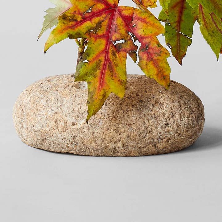 Bloomist - Wholesale Decorative Tabletop Object - Oval Stone Frog0