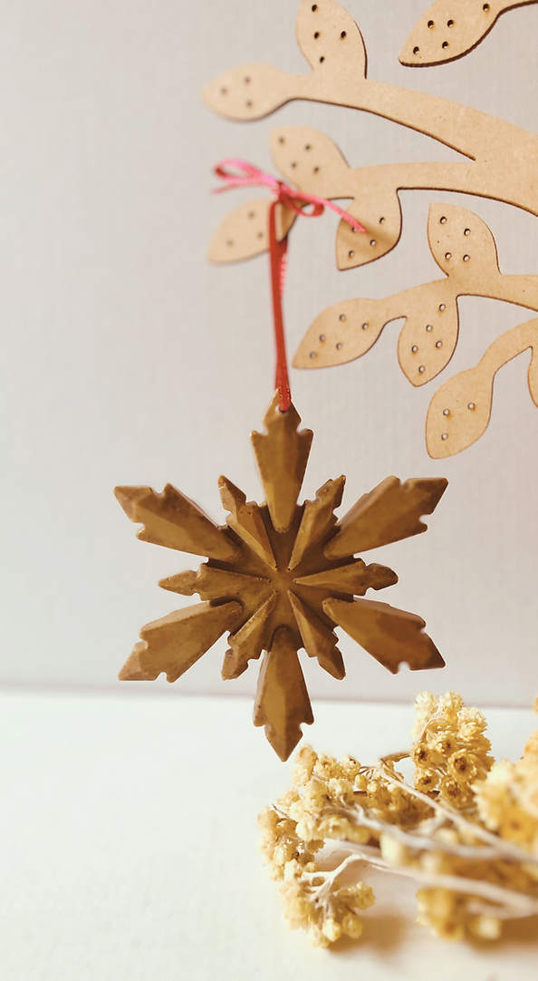 L'éco maison décoration - Wholesale Christmas Decoration - Christmas Star no.12