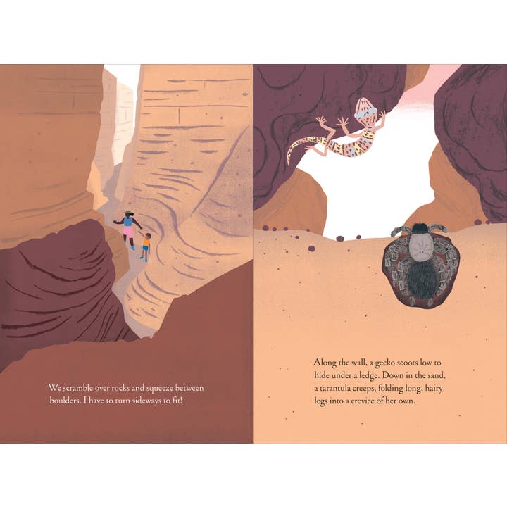 Chronicle Books - Wholesale Nature & Outdoors - Over and Under the Canyon8