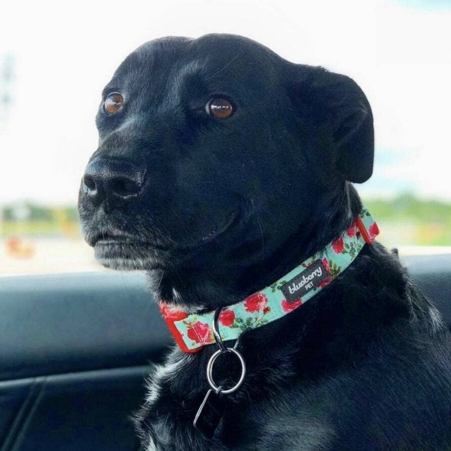 Blueberry Pet - Wholesale Halsband - Hond - Lichtgewicht verstelbare hondenhalsband met lente bloemenpatroon22