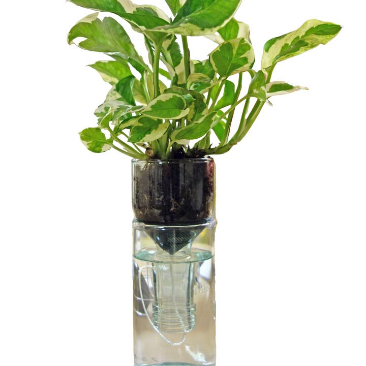 Refresh Glass - Wholesale Plant Pot - Self Watering Planter: Clear