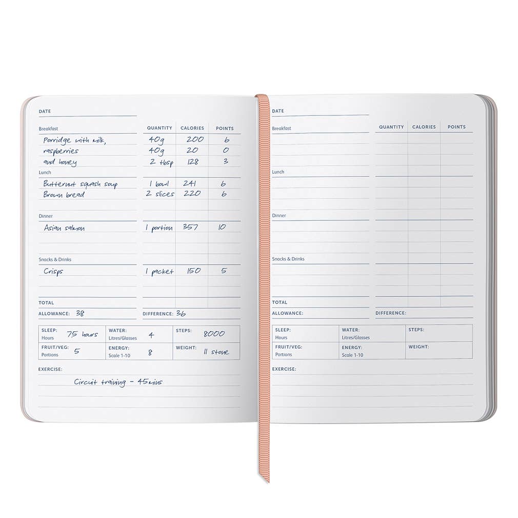 Busy B - Wholesale Journal/Diary - Food Journal | Food Diary & Weekly Meal Planner | Stripe4