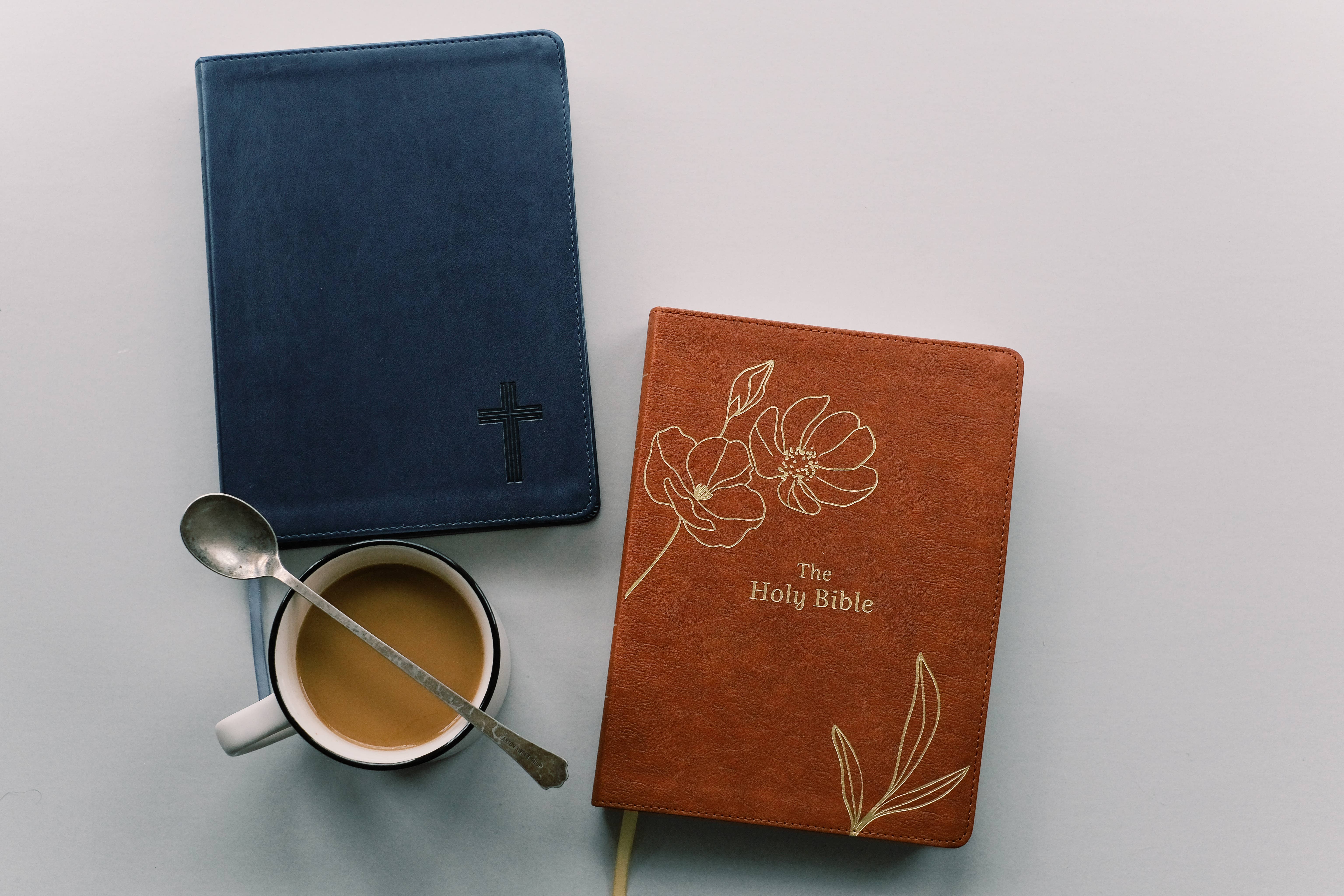 Barbour Publishing, Inc. - Wholesale Religion - The Holy Bible: SKJV [Chestnut Floral]7