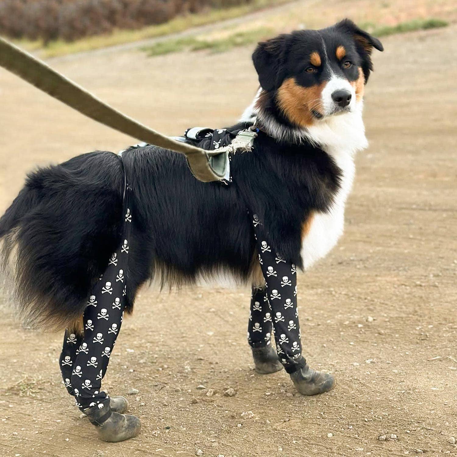 Walkee Paws – Großhandel Pfotenschutz für Haustiere – Deluxe Easy-On Hundestiefel-Leggings6