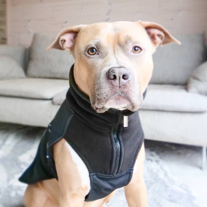 Hundjacka med dragkedja - Vattentät - Svart för wholesale av BullyBillows Ltd