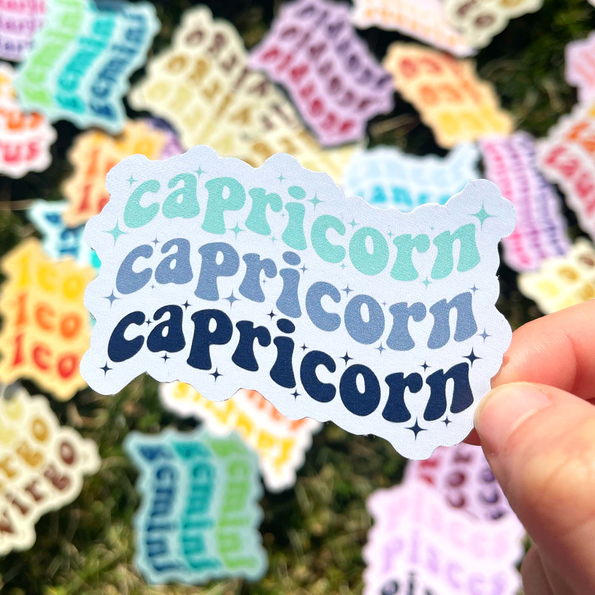 The Funnel Cake Tree - Wholesale Sticker - Star Sign Stickers Mega Pack ✨✨10