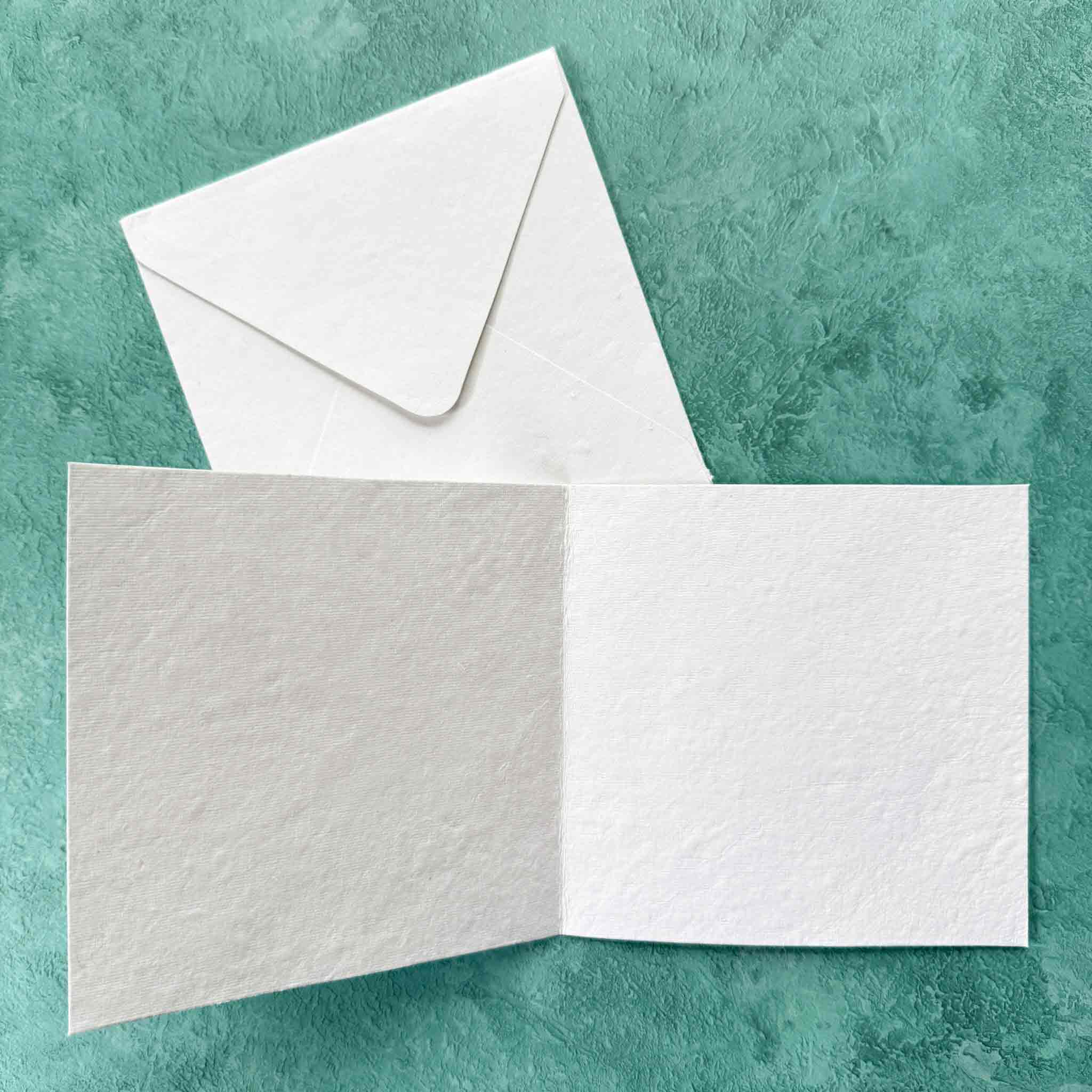 The Natural Paper Company - Vendita all'ingrosso Set di cartoleria/cancelleria - Carte e buste in cotone fatto a mano - Set di 52