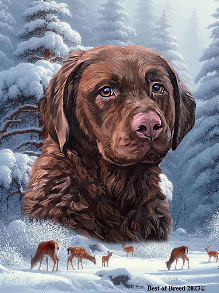 Drapeau de la maison Wonderland - Retriever de la baie de Chesapeake pour la vente par Best of Breed Products
