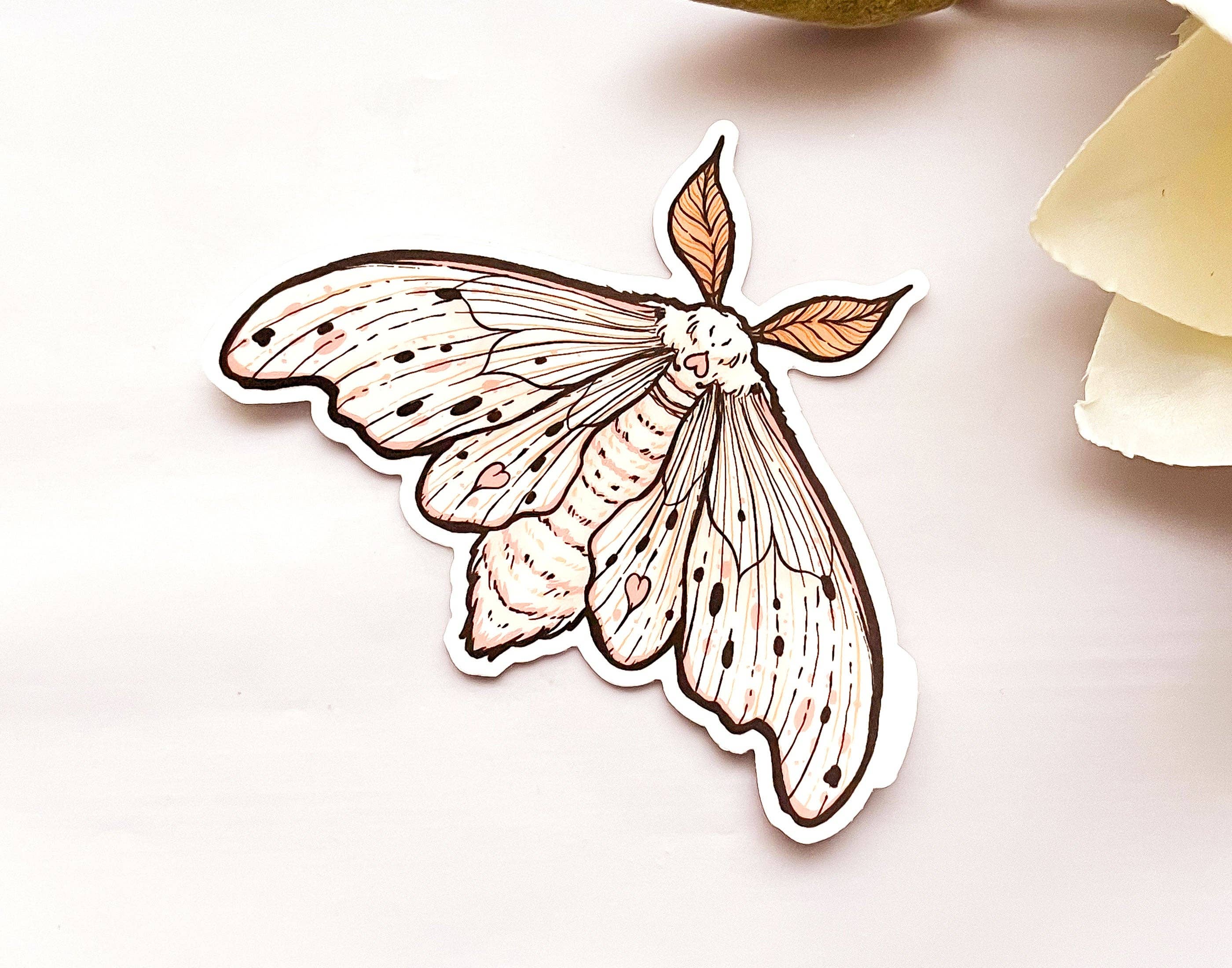 Alum and Ink - Wholesale Sticker - Poodle Moth (Domestic Silk Moth, Bombyx mori) Clear Vinyl Sticker2