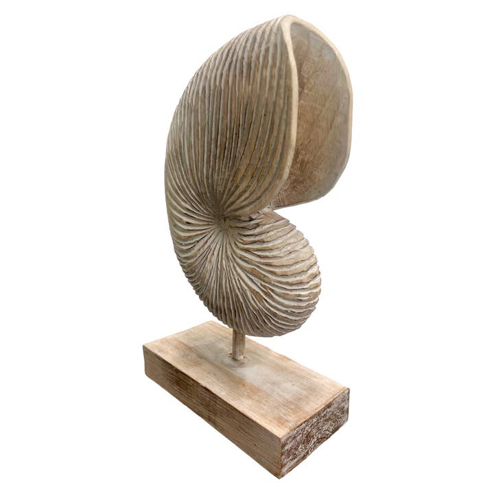 Bamboo Source Tropical Decor - Wholesale Decorative Tabletop Object - Wooden Nautilus Statue - Assorted