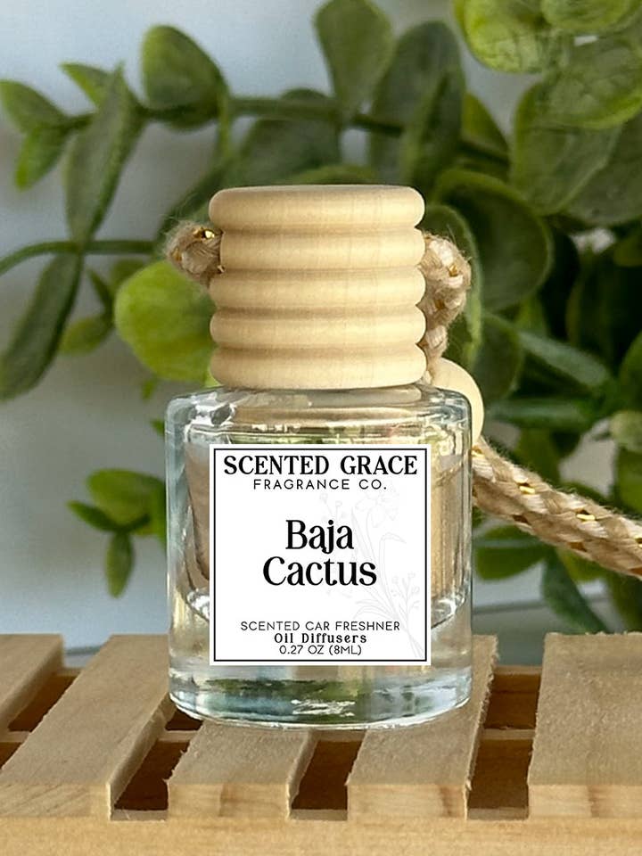 Baja Cactus Car Diffuser for wholesale by Scented Grace Fragrance Co. (A&R Creations)