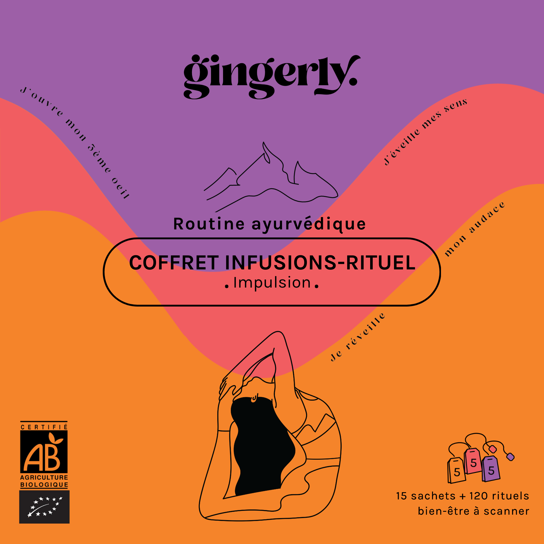 Gingerly - Wholesale Health/Detox Tea - Organic Herbal Tea Gift Set Impulsion Routine 🎁4