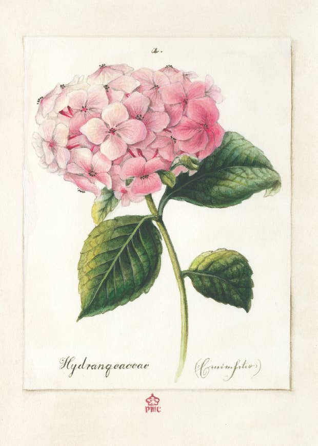 Bomo Art Budapest - Wholesale Everyday Greeting Card - Greeting Card + Envelope97