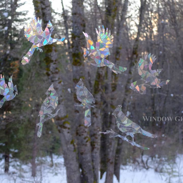 Window Gems - Wholesale Suncatcher - Cardinal Window Prismatic Decals - bird strike prevention3