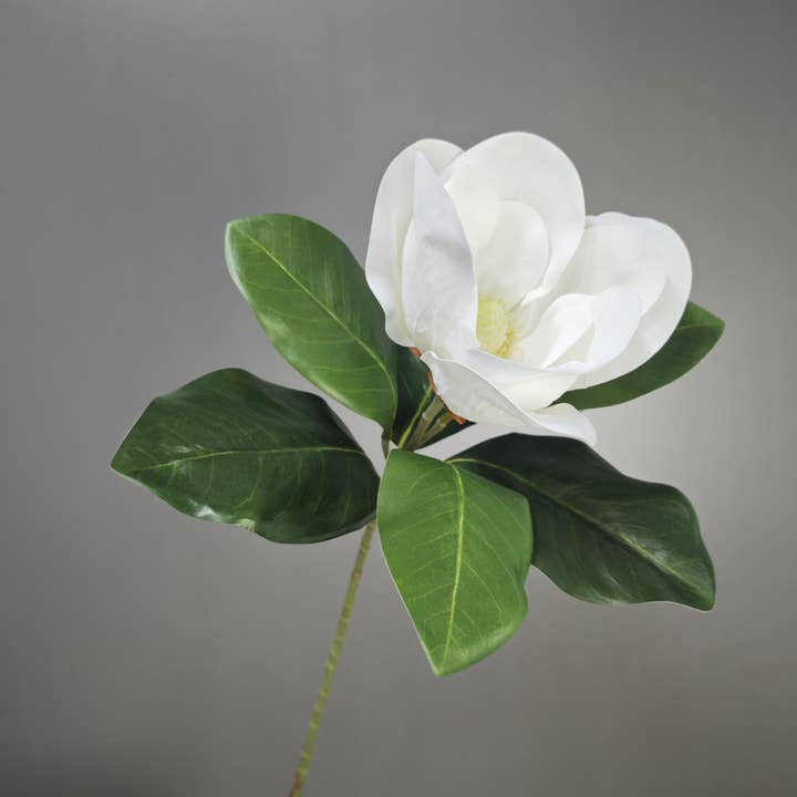 Angel Isabella - Wholesale Artificial Flowers - Realistic 6-8"Large bloom Magnolia Flower with Leaves0