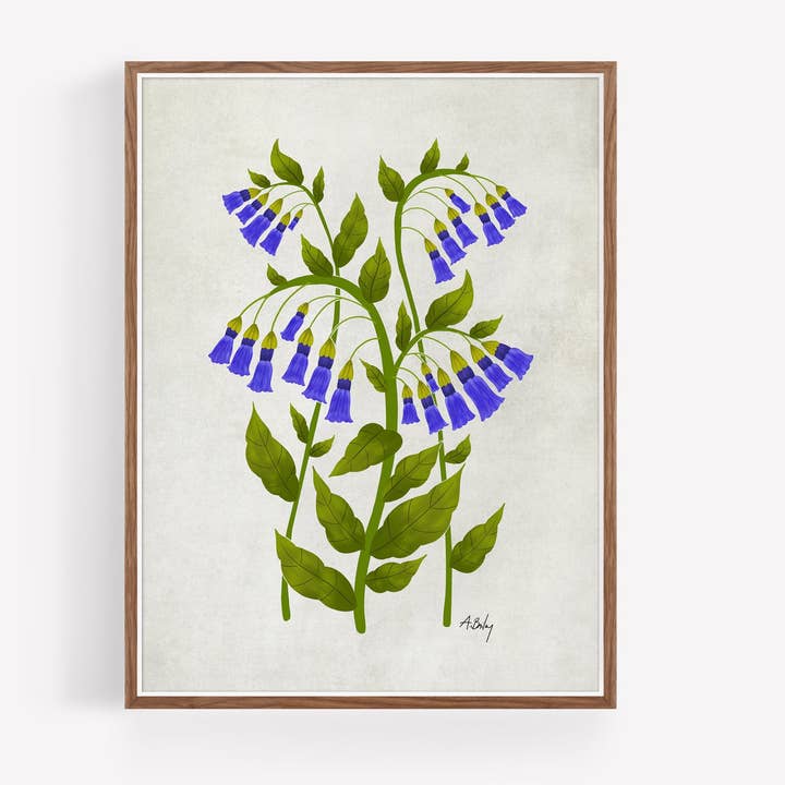 Bluebells - wildflower illustration print for wholesale by Annie Bailey Art